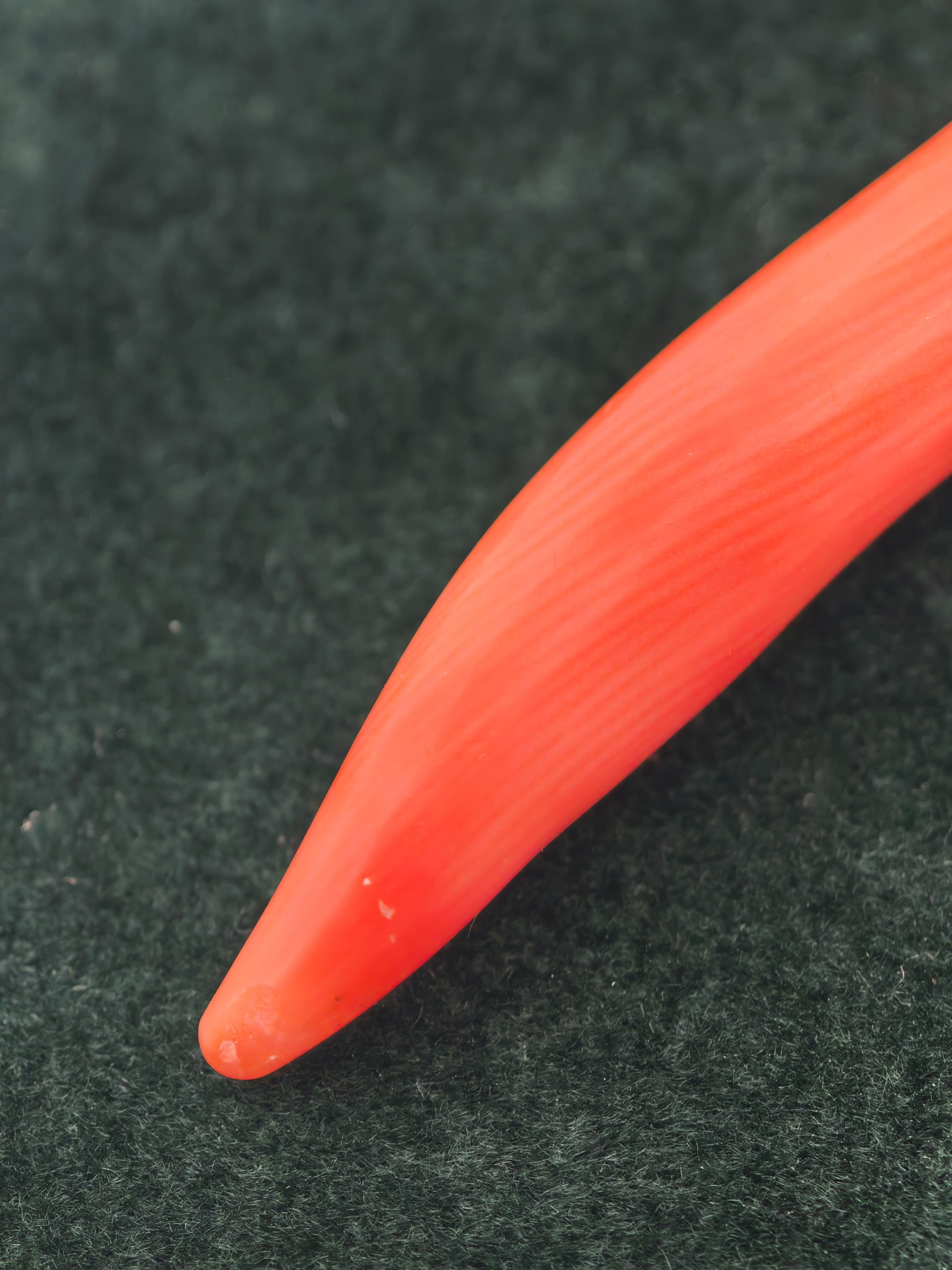 Chili Coral Pendant 9ct Gold