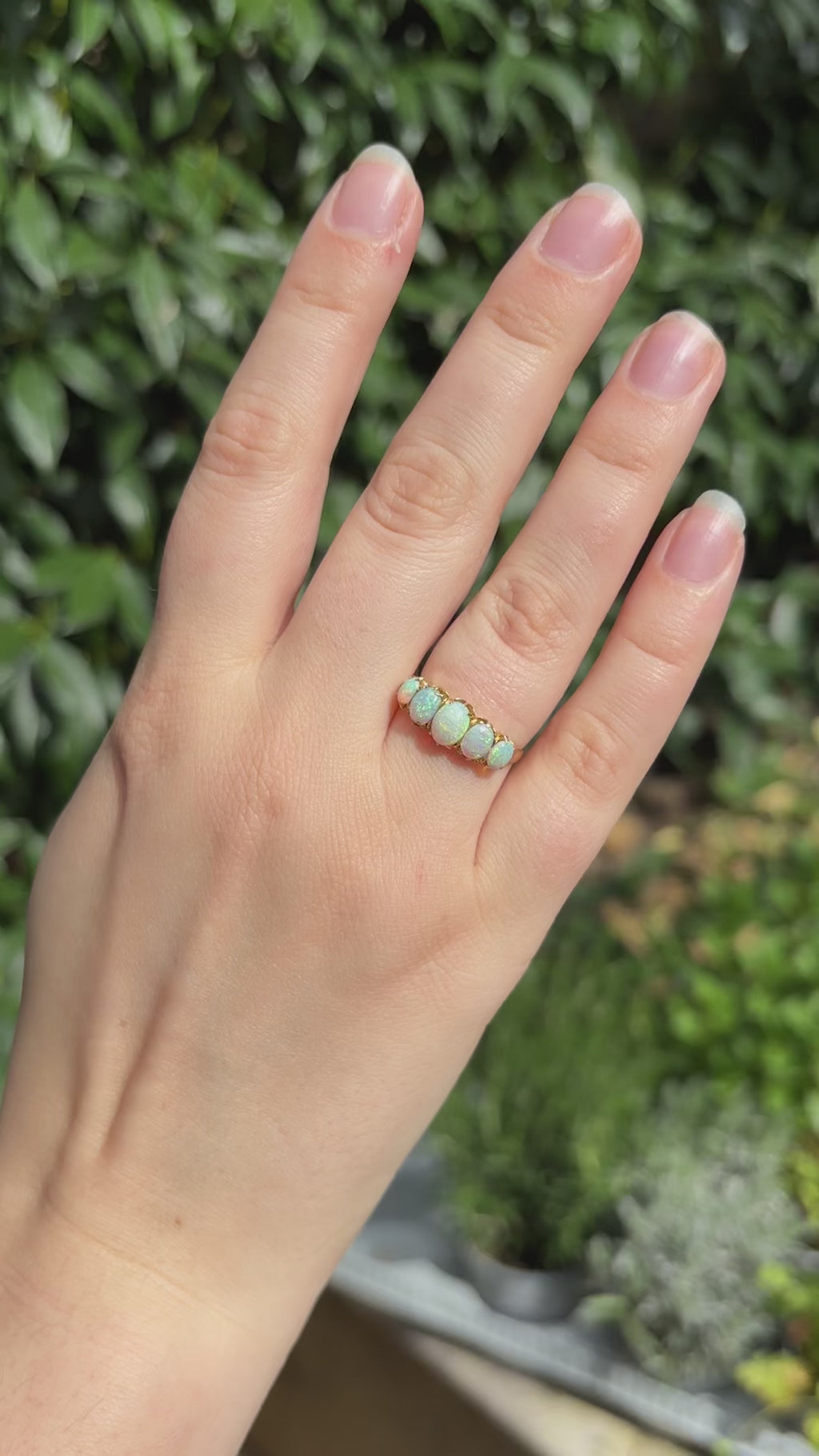 Edwardian Five-Stone Opal Ring